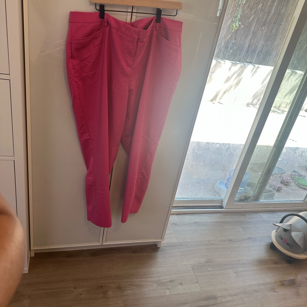 Lane Bryant Fuchsia Trousers